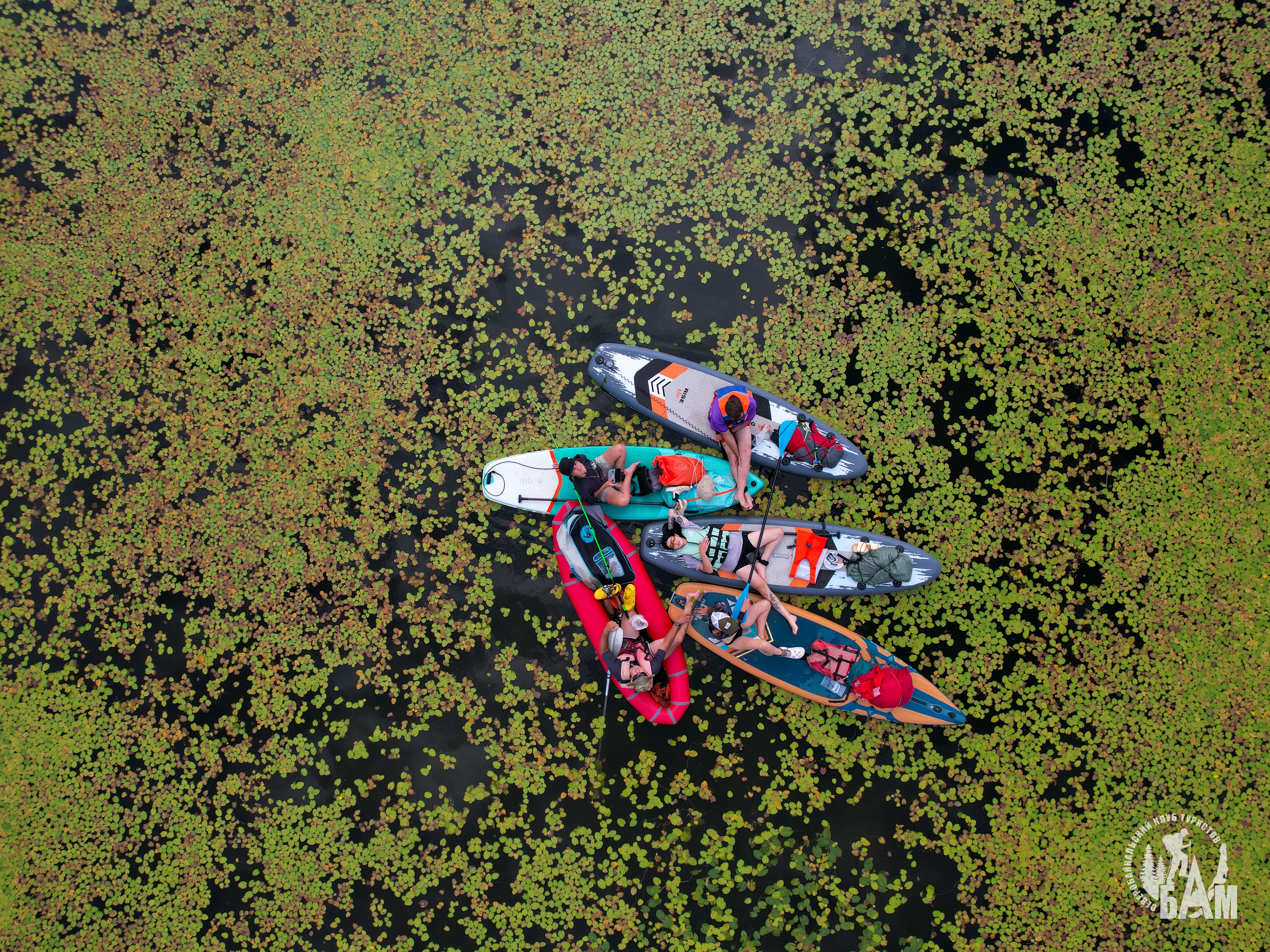 Group of hikers